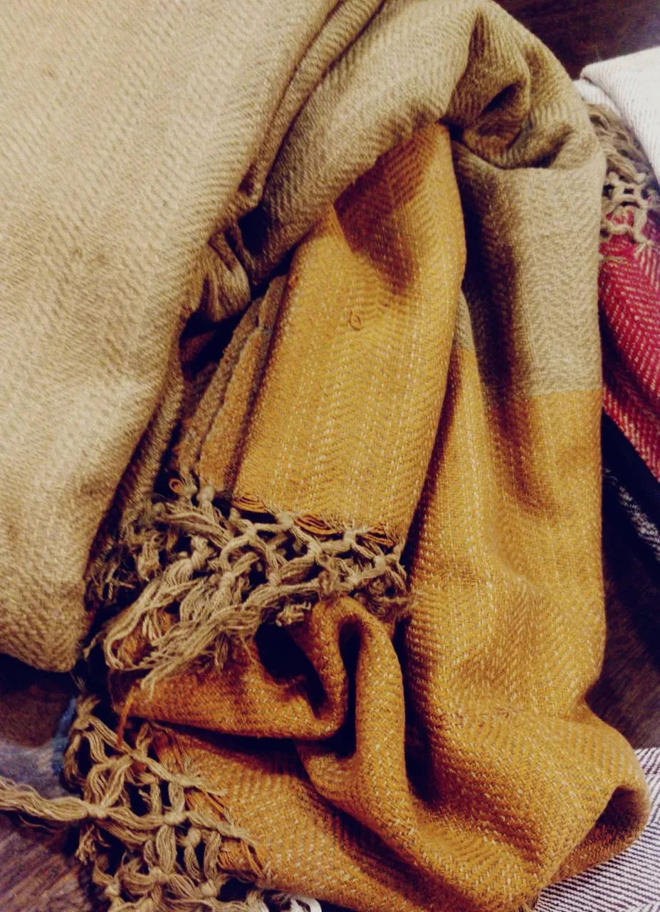 Pure Eri - Tussar Silk Handwoven Shawl/Stole